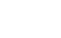 light version of property logo