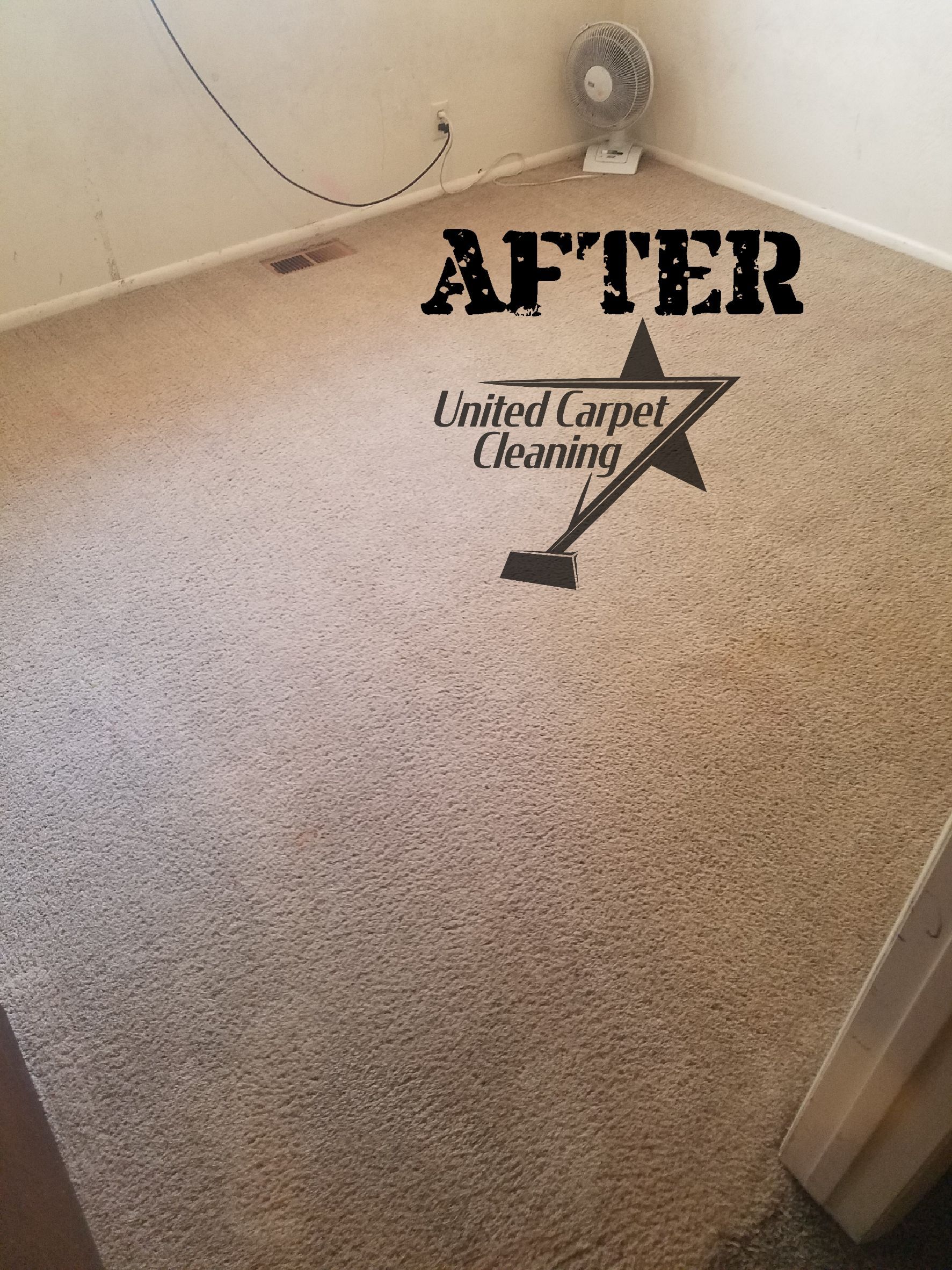 Removed Stains — Taylorsville, UT — United Carpet Cleaning