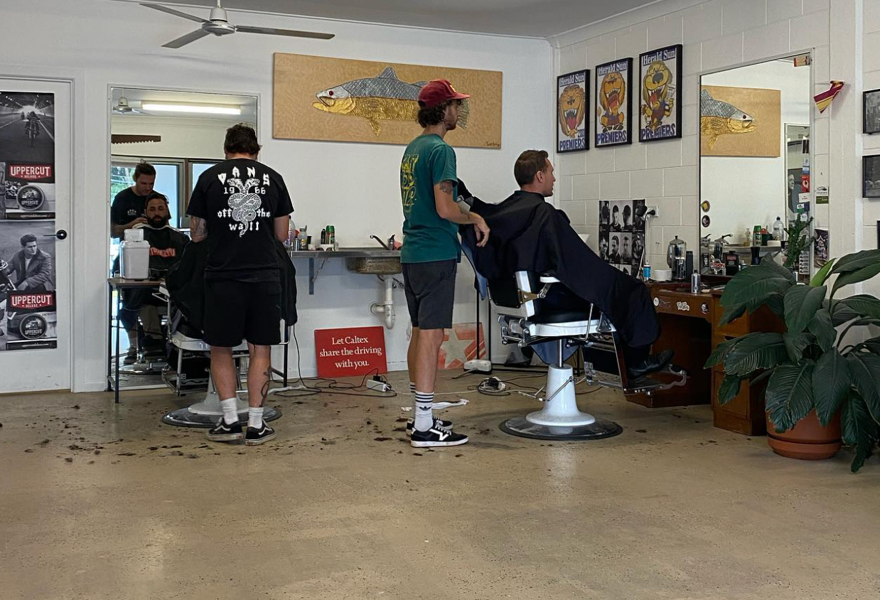 Close-up of a fan-like palm leaf with alternating light and dark green stripes. — Eagle Tamer Barbershop in Stratford, QLD