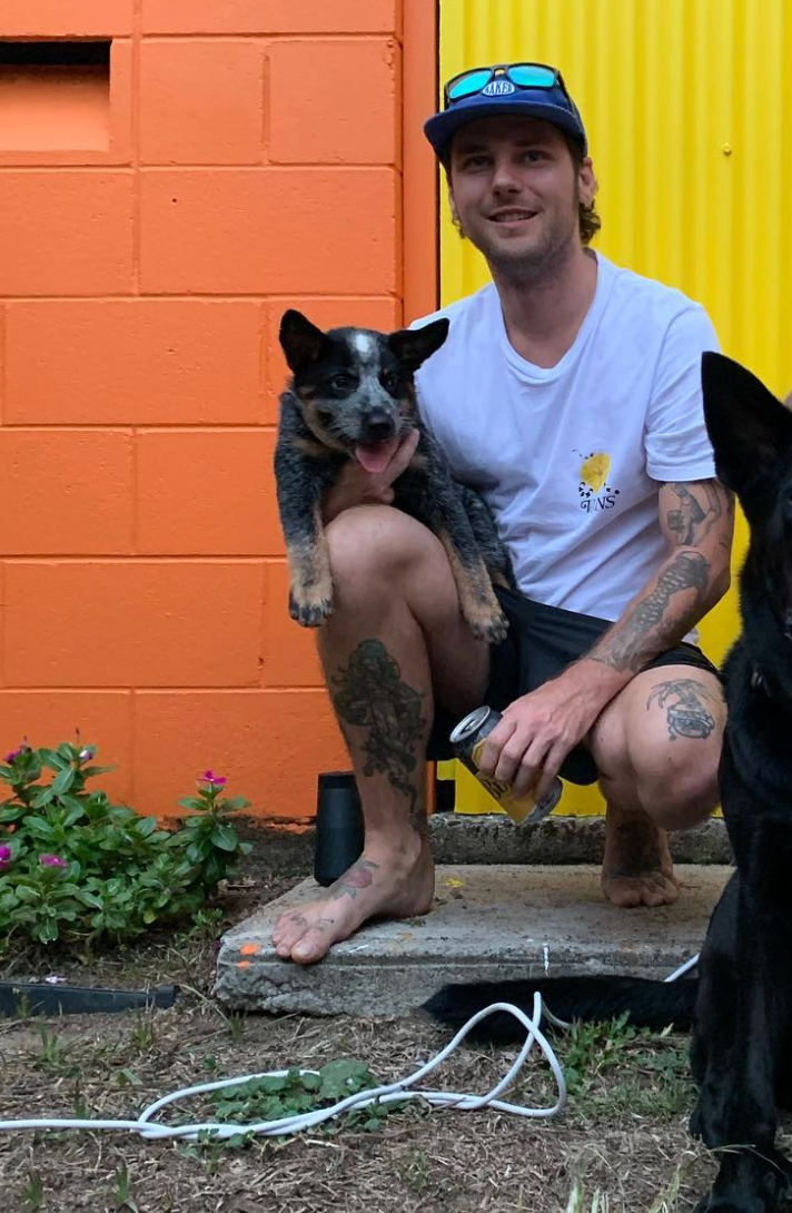 Close-up of a green palm leaf, fanning out with visible parallel ridges and shadows. — Eagle Tamer Barbershop in Stratford, QLD