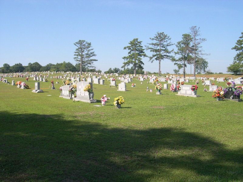 section-image