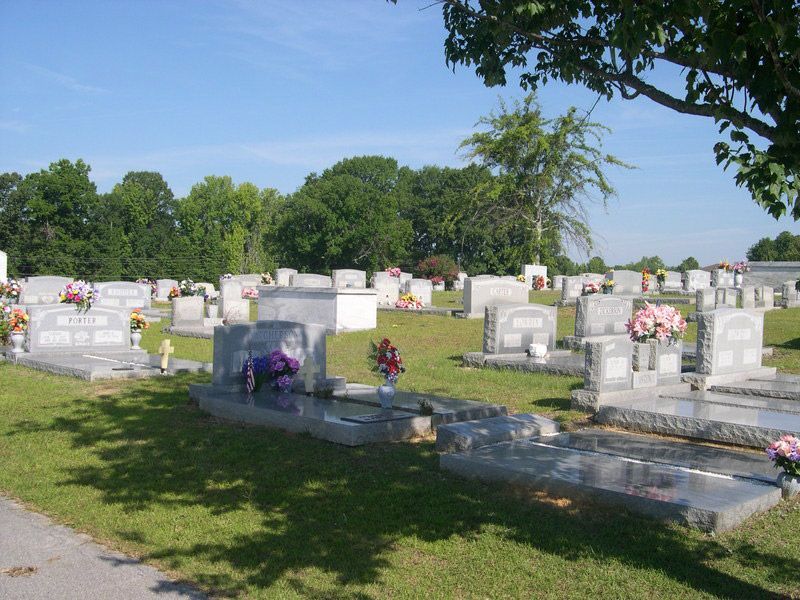 section-image