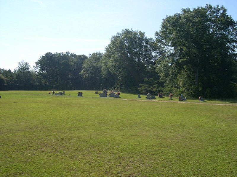 section-image