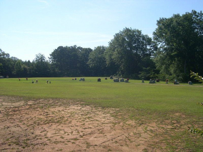 section-image