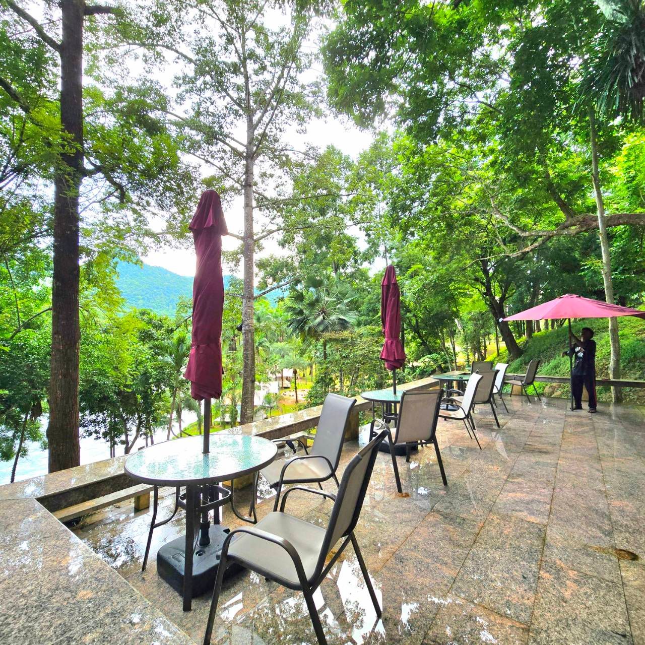 A patio with tables and chairs and umbrellas in the woods