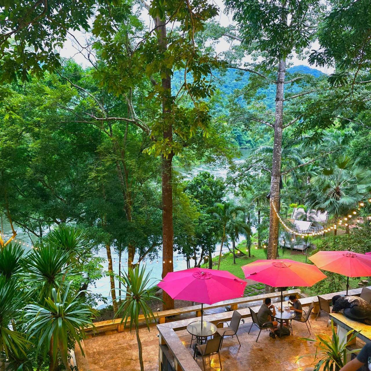 People are sitting at tables under pink umbrellas in the woods
