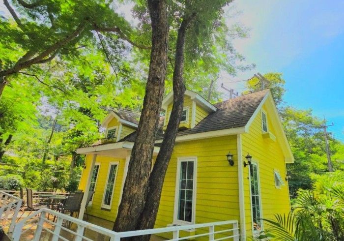 A yellow house with a tree in front of it