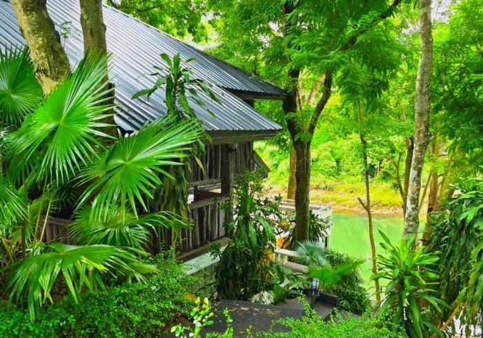 A house in the middle of a lush green forest surrounded by palm trees.