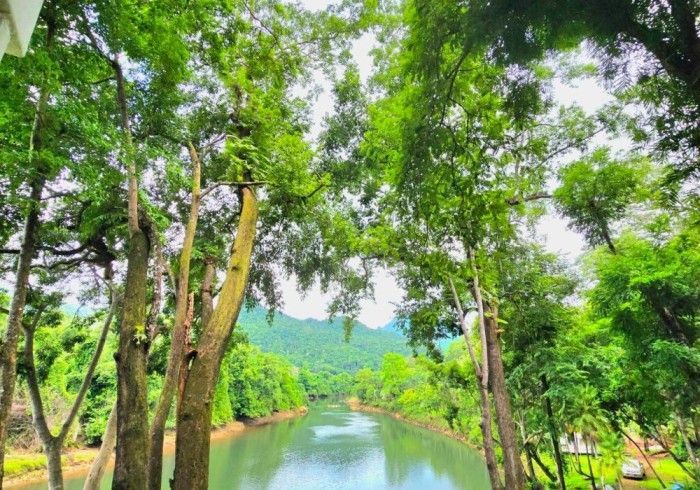 A river surrounded by trees in a park with mountains in the background.