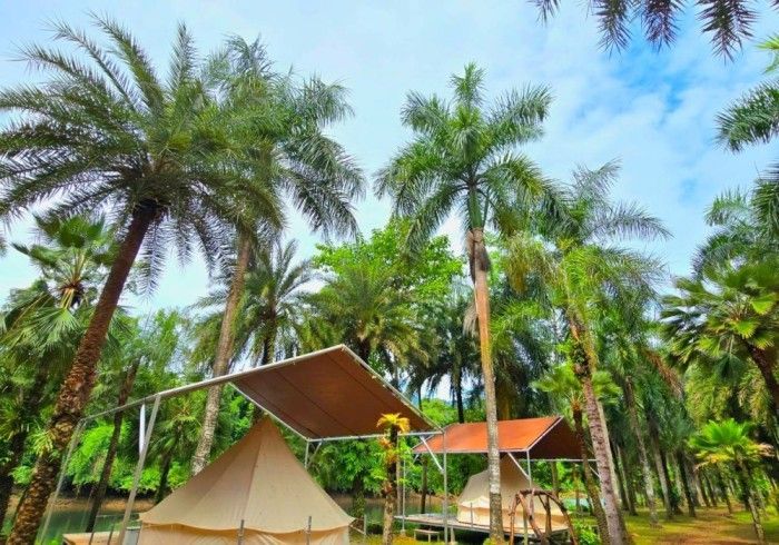 A tent with a canopy is surrounded by palm trees