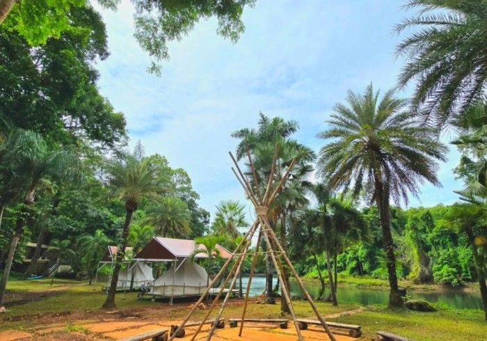 A teepee is sitting in the middle of a field surrounded by palm trees.