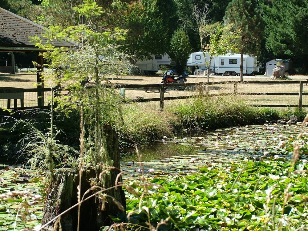 A motorcycle is parked in front of a fence next to a pond.