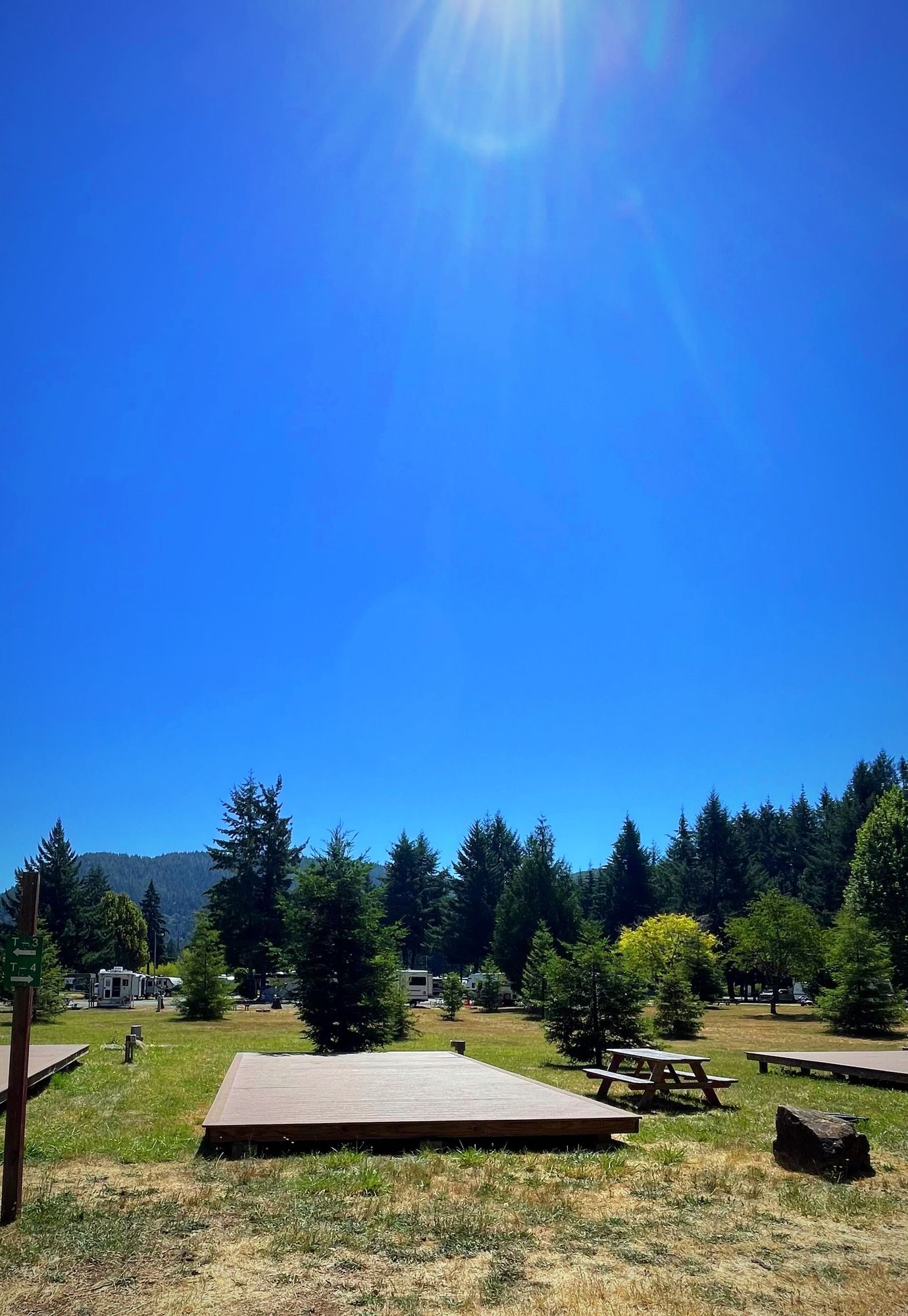 A wooden platform in the middle of a grassy field with trees in the background.