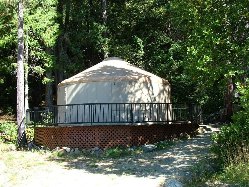 A yurt in the middle of a forest with a fence around it