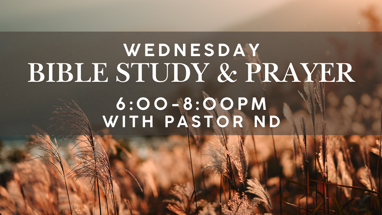 Wednesday night Bible study and prayer