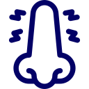Sinus Center Icon — Bradenton, FL — ENT Associates of Manatee Sinus Center Icon — Bradenton, FL — ENT Associates of Manatee