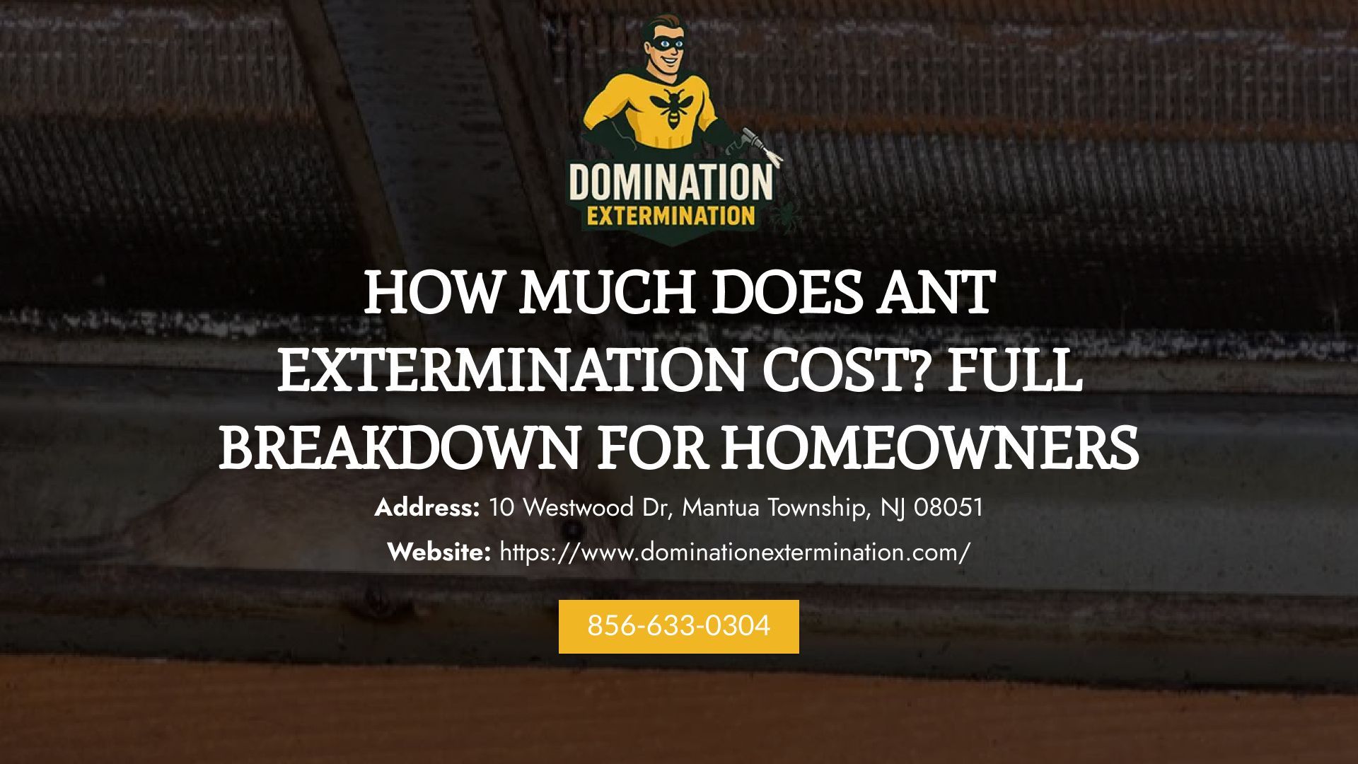 ant control cost