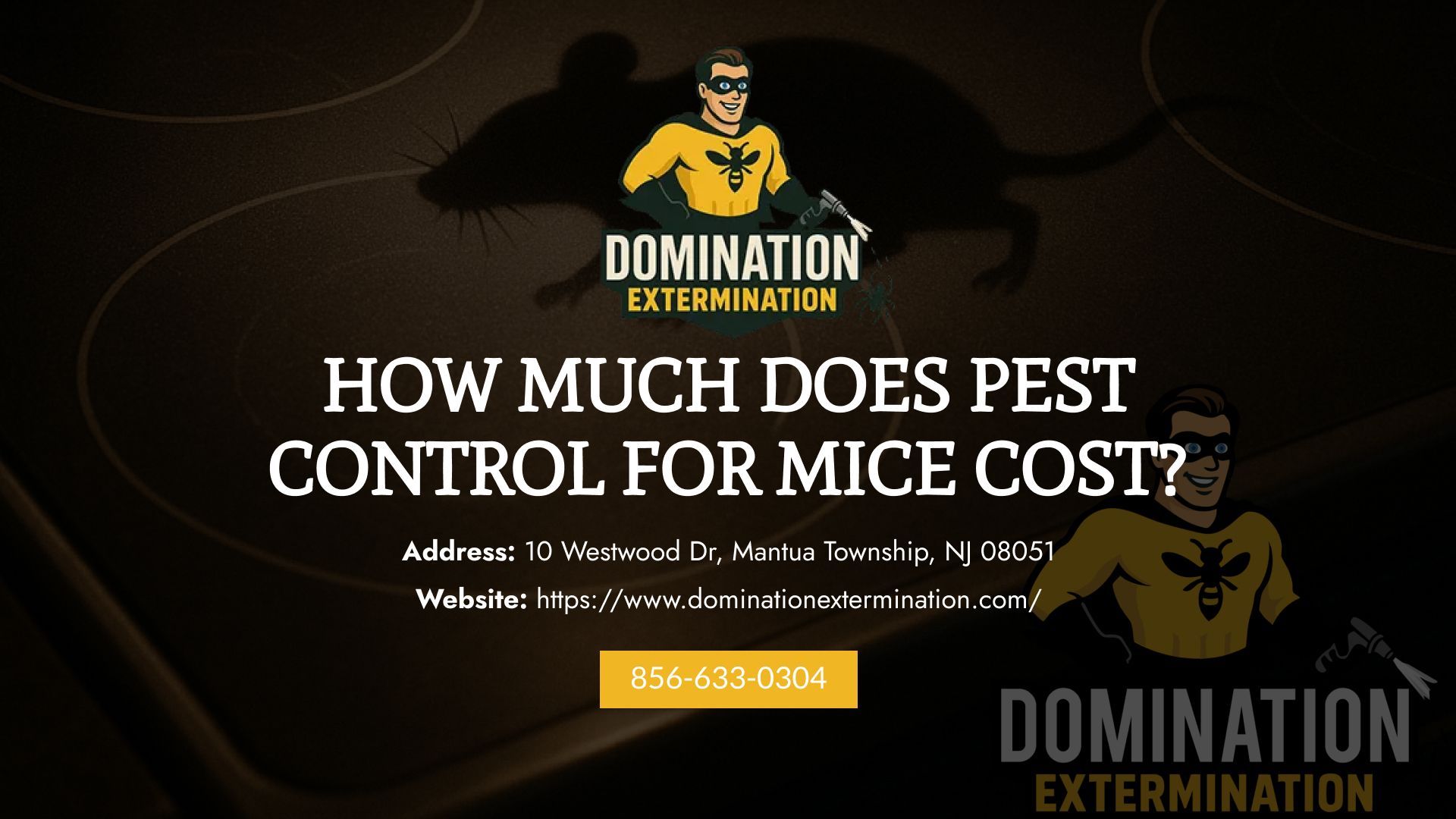 Pest Control for Mice Cost