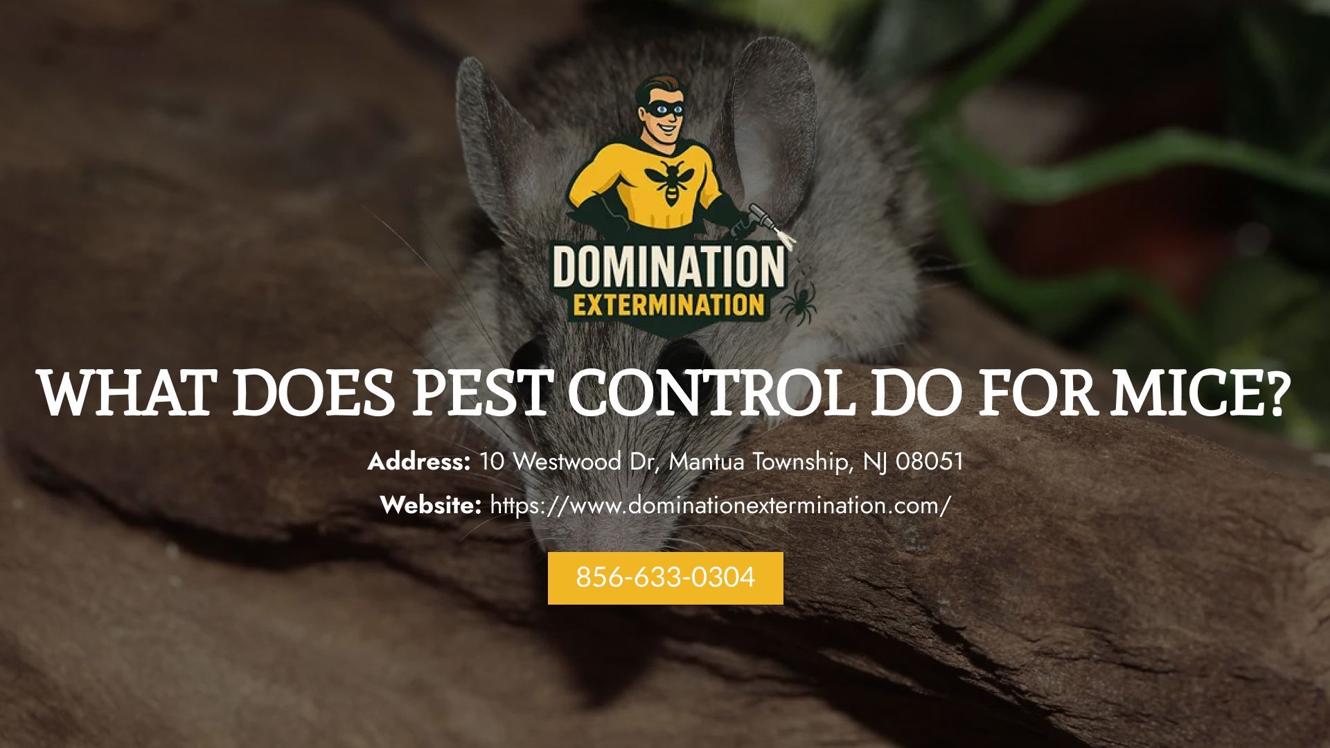 Pest Control Do For Mice
