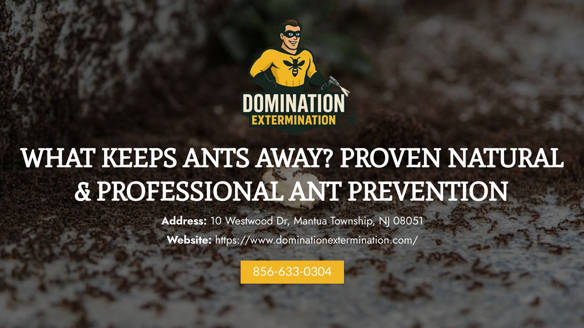 What Keeps Ants Away