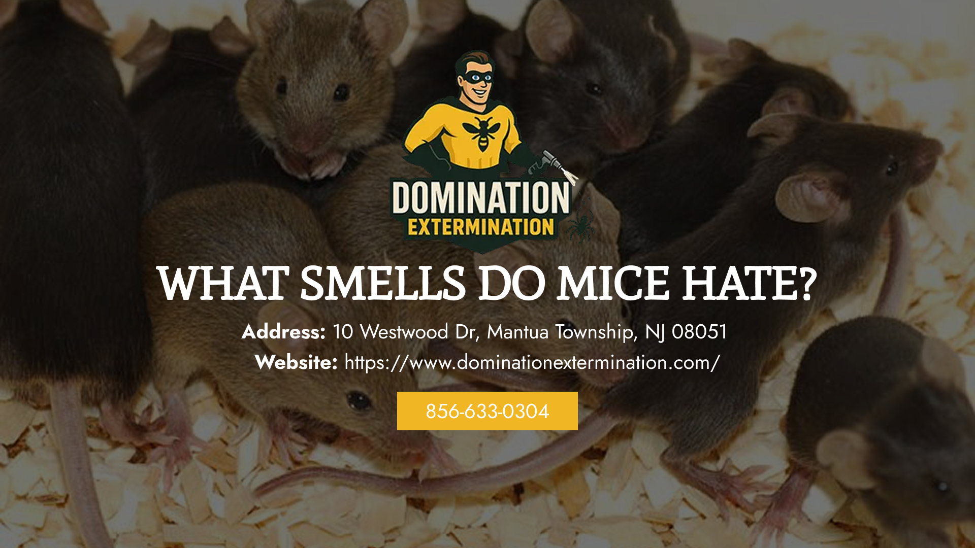 What Smells Do Mice Hate?