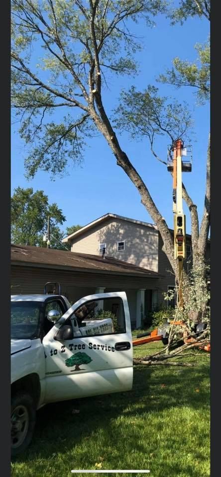 Tree service truck near a tree with a lift, trimming branches. Sunny day.
