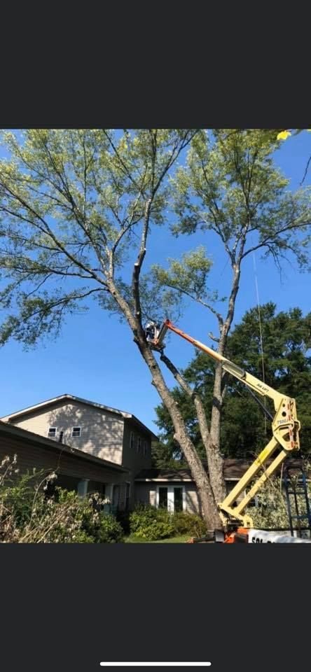 A tree is being trimmed with a yellow lift near a house under a clear blue sky.