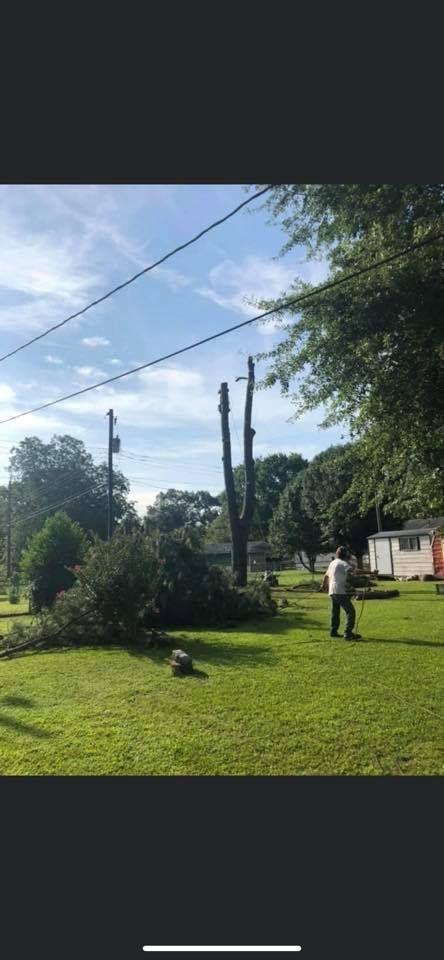 Man standing in a yard with downed tree near power lines; blue sky.