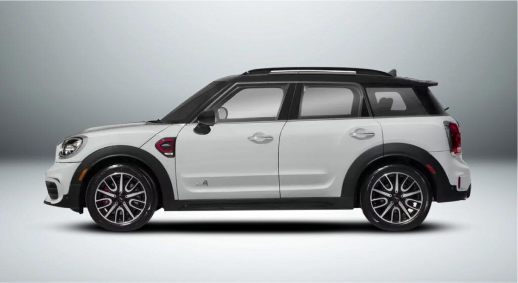 Um mini compatriota branco está sentado em uma superfície branca.