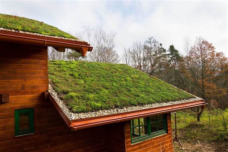 Eco-Friendly Living Roofs