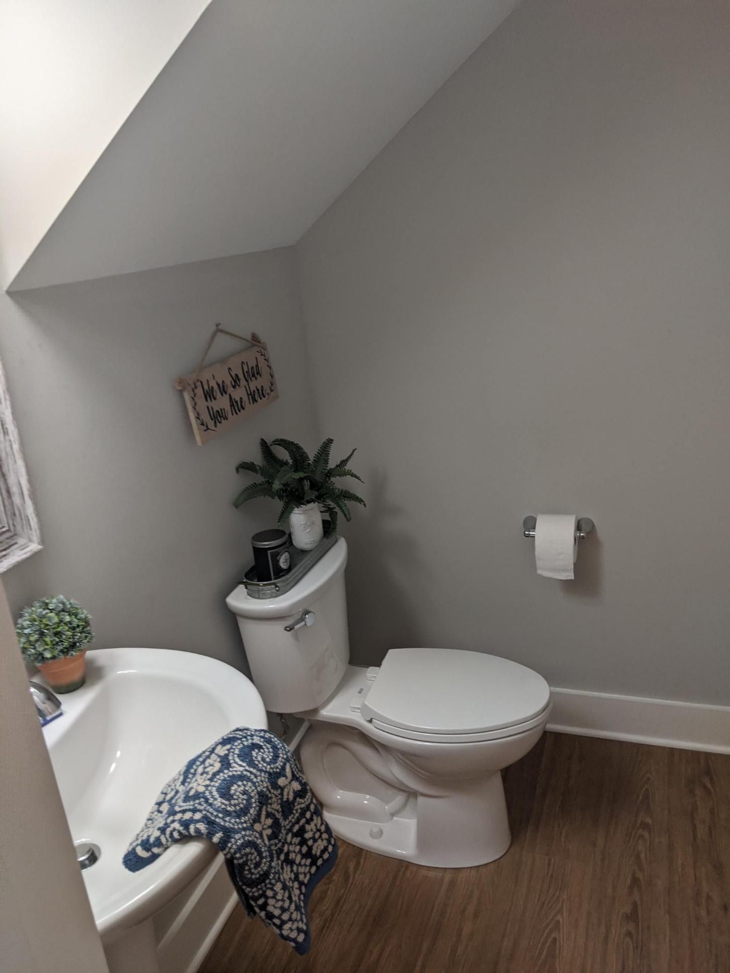 Small bathroom with gray walls, toilet, sink, and decorative plant.