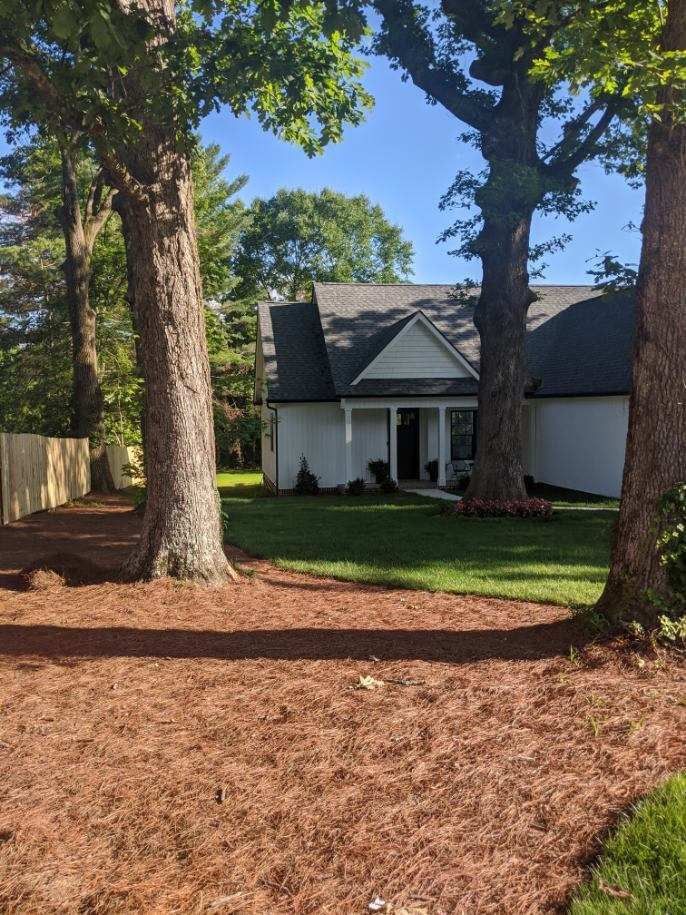 White house with black roof nestled between three trees, with green grass and brown mulch.
