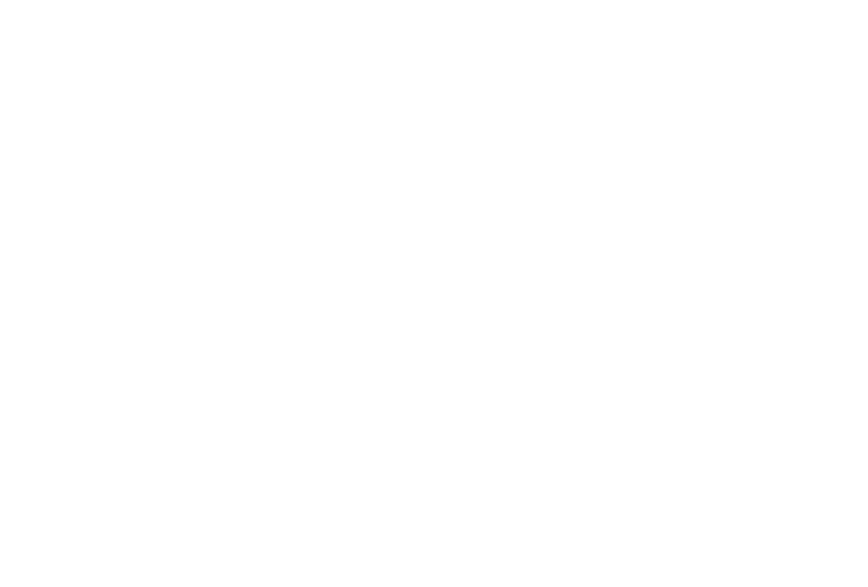 Palmetto Foundation For Prevention & Recovery logo