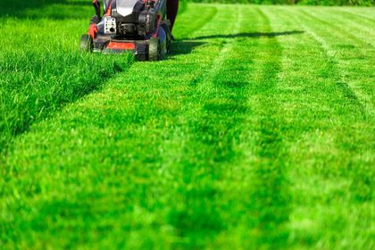 Lawn mower cutting the grasses in garden