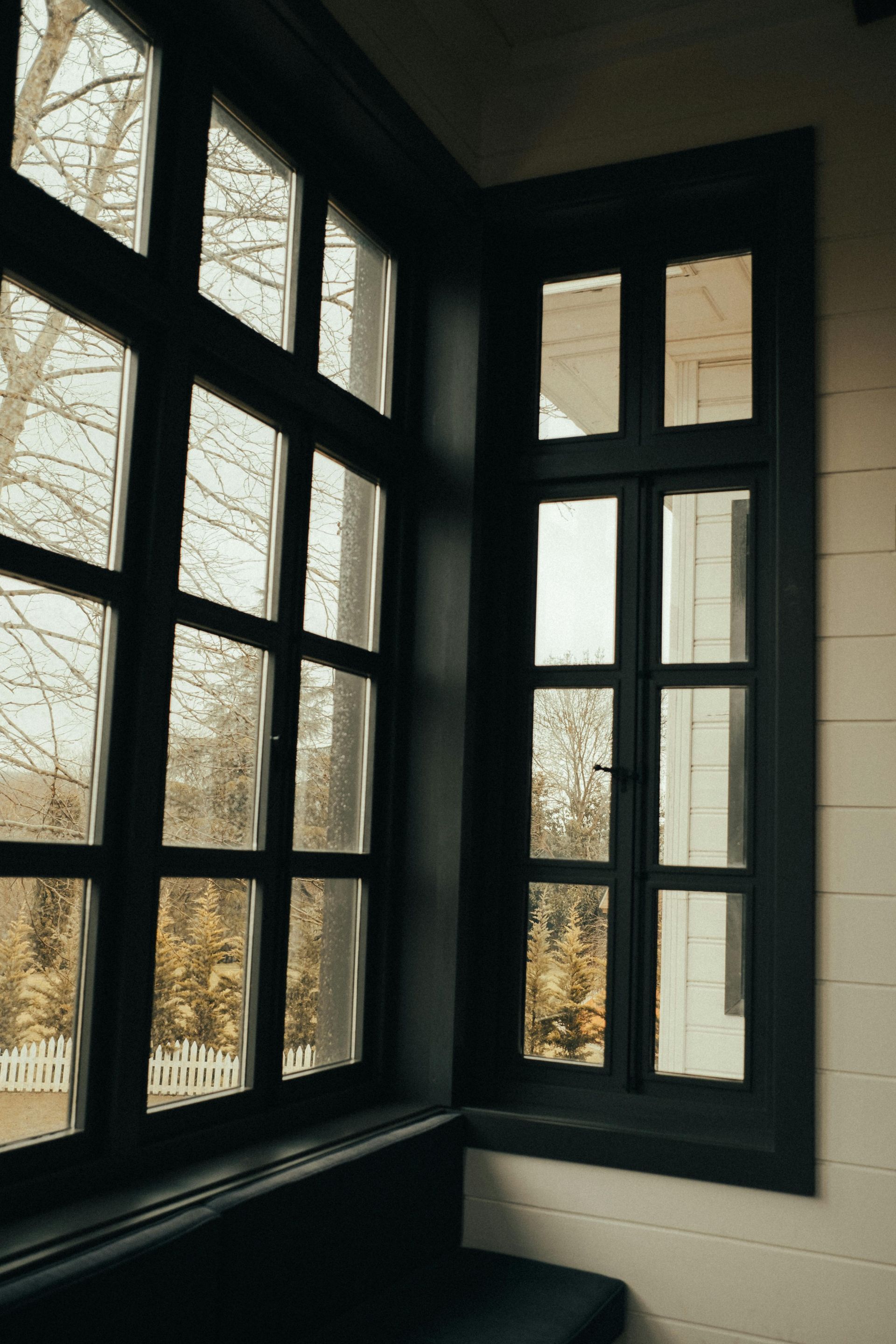Black-framed corner windows with daylight and trees outside in a small interior room