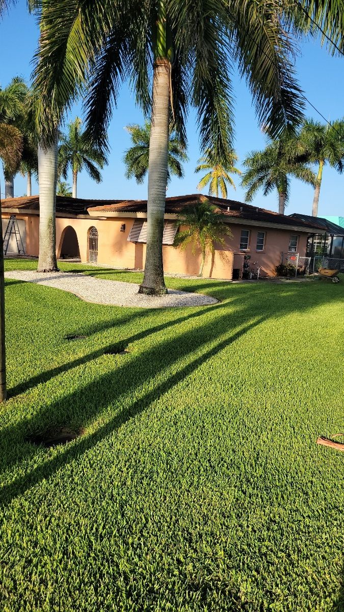 A house with a lot of grass and palm trees in front of it.