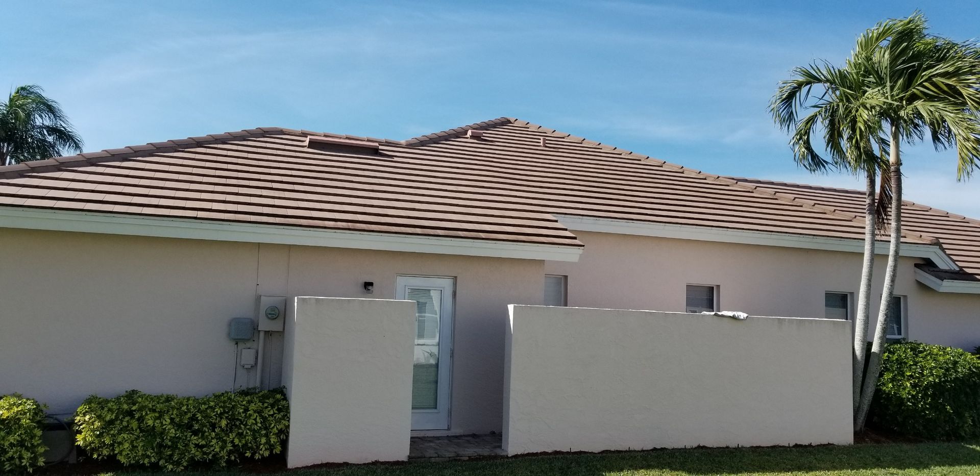 A house with a palm tree in front of it