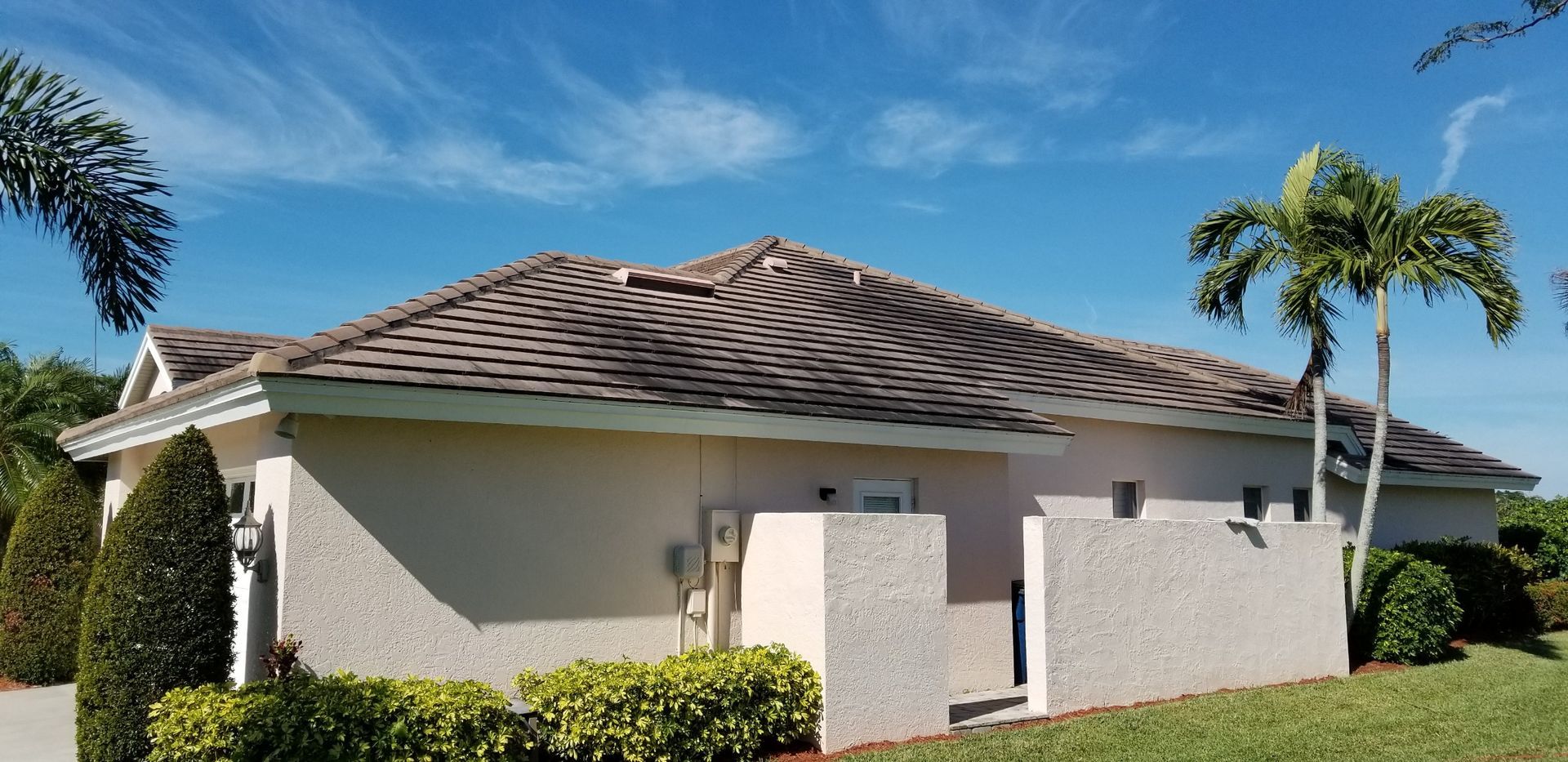 A house with a palm tree in front of it