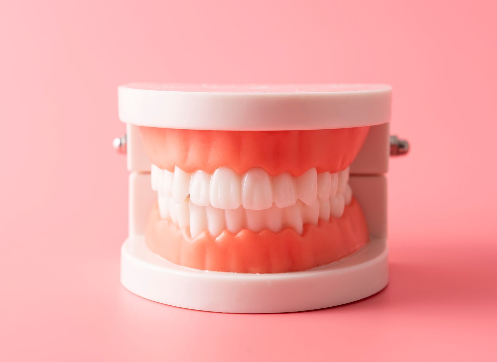 A model of a person 's teeth on a pink background.