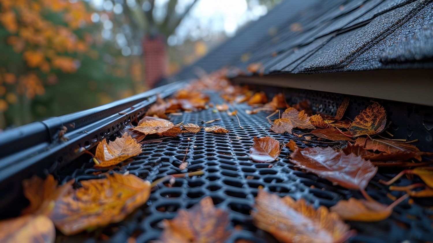 Roof gutter became clogged with leaves and debris.