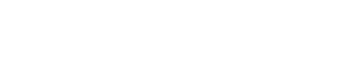 Blank white horizontal rectangle with a thin black border