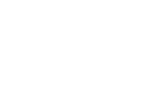 SDHC