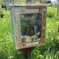 A small wooden box filled with books is sitting in the middle of a grassy field.