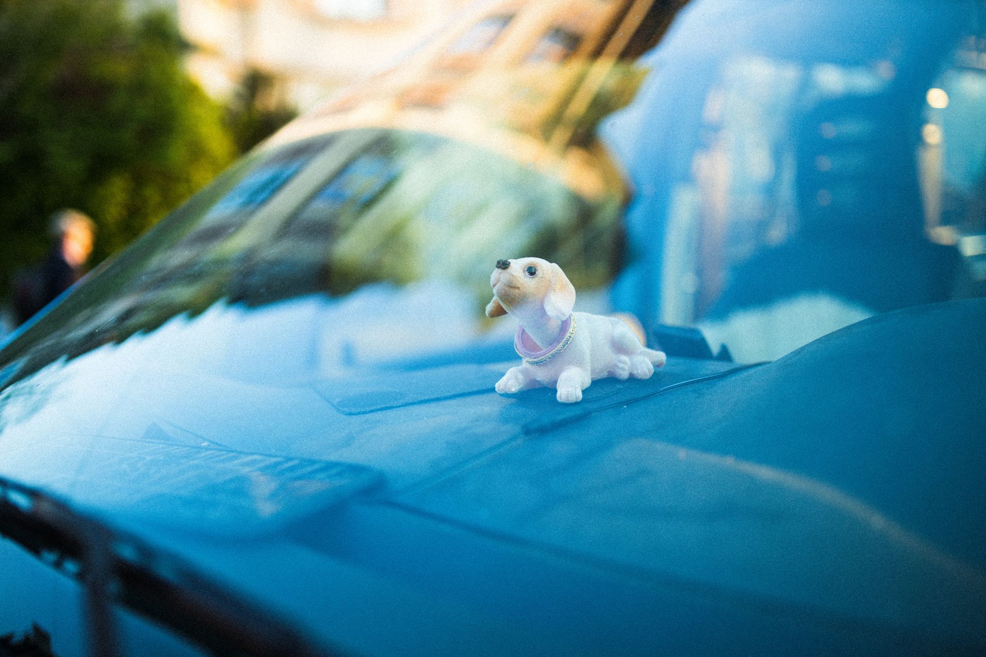 Small white puppy figurine on a blue car hood with blurred outdoor reflections in the background