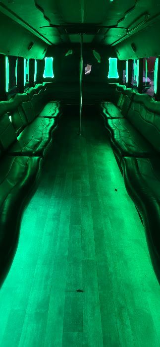 45 Passenger Party bus