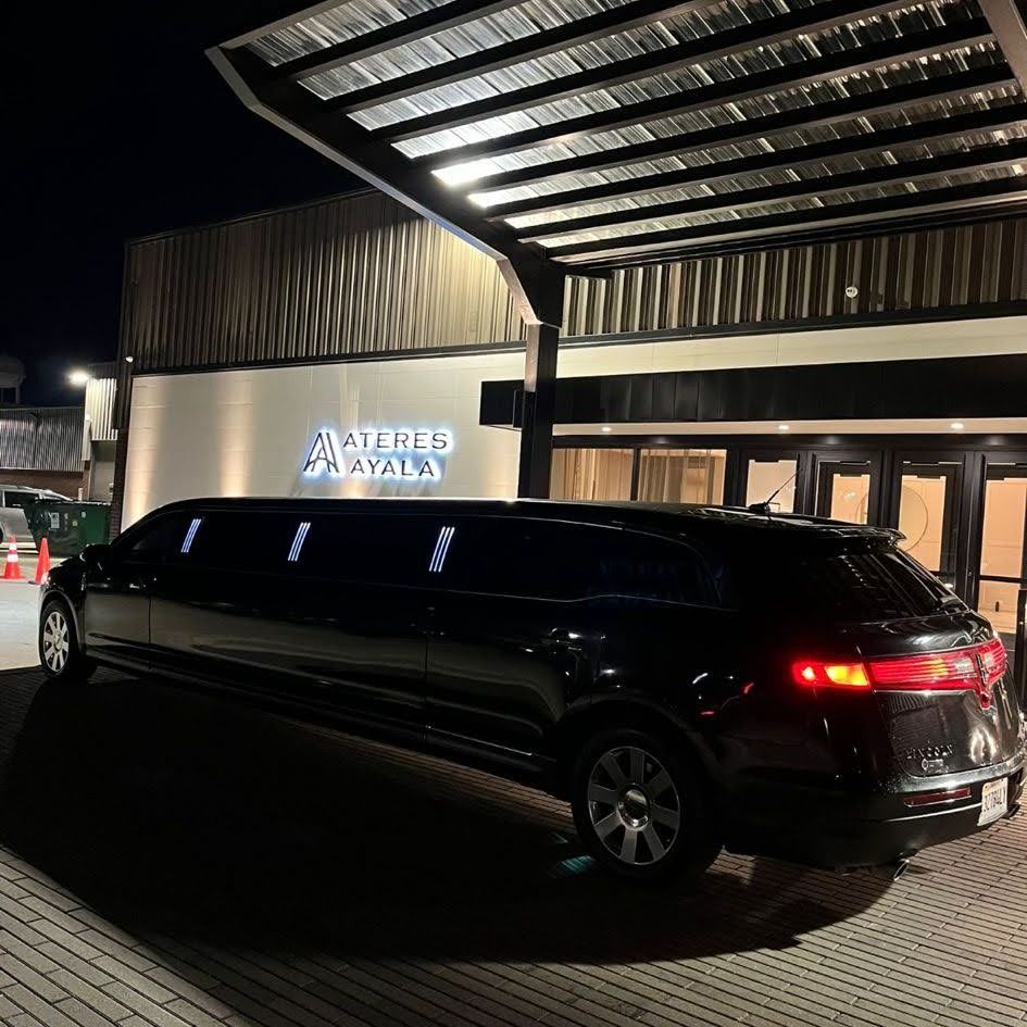 10 PAssenger Stretch Limousine charter