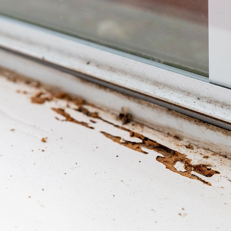 Termite Damage Visible on Window of House — Seventeen Mile Rocks, QLD — McKenna