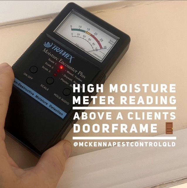 Moisture Meter — Seventeen Mile Rocks, QLD — McKenna High Moisture Meter Reading — Seventeen Mile Rocks, QLD — McKenna