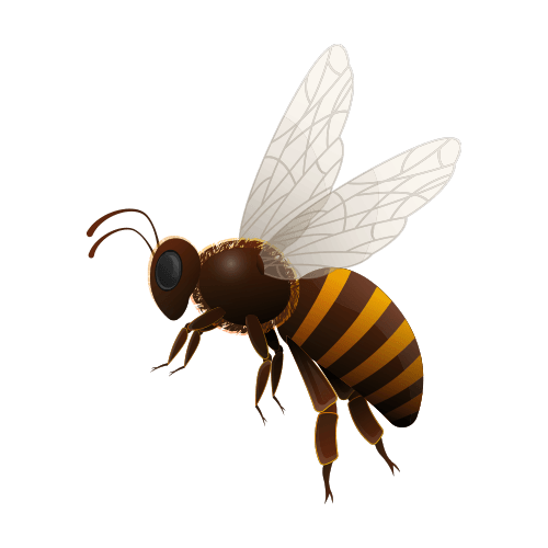 Wasp Insect