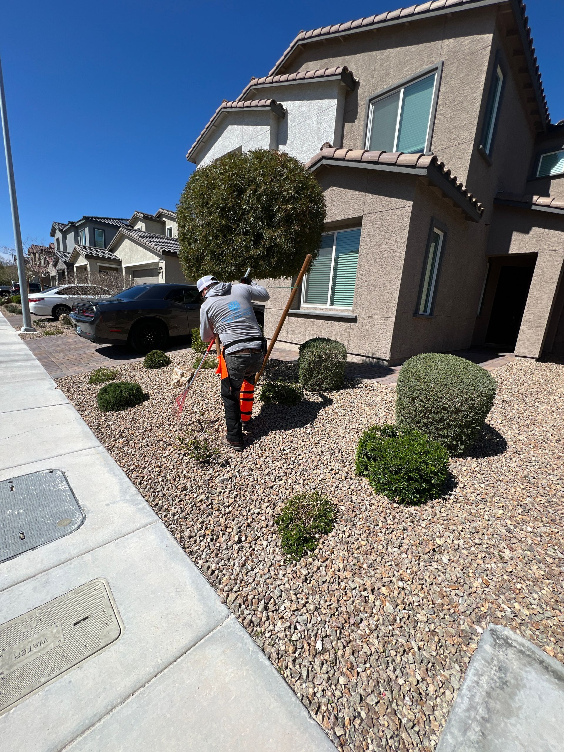 a man is cutting a tree in front of a house .